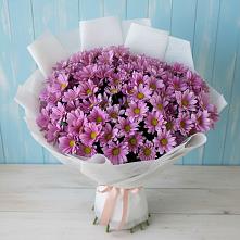Букет цветов из:  Хризантемы в Тимонино