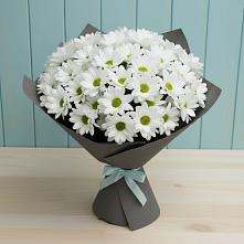 Букет цветов из:  Хризантемы #REPLACE_PRED# Тимонино