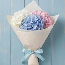 Букет цветов из:  Гортензия в Тимонино