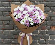 Букет цветов из:  Хризантемы в Тимонино