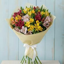 Букет цветов из:  Альстромерии в Тимонино