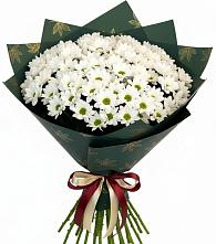 Букет цветов из:  Хризантемы в Тимонино