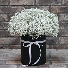 Цветочная композиция из Гипсофила в шляпной коробке в Тимонино