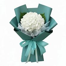 Букет цветов из:  Гортензия в Тимонино